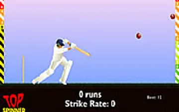 Top Spinner Cricket