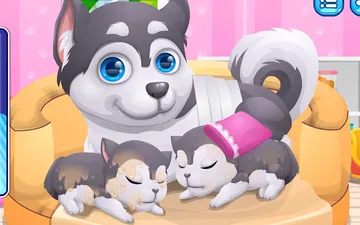 Cute Puppy Pregnant