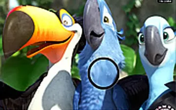Hidden Numbers-Rio