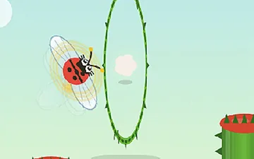 Ladybug Family