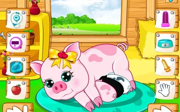 Pregnant Pig New Babies