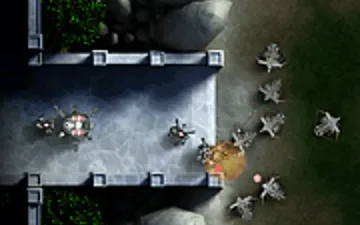 Weather the Swarm