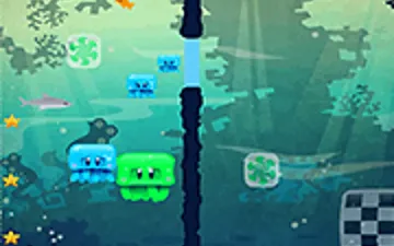 Box Jelly