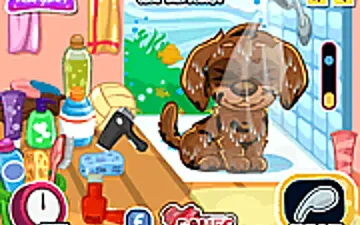 Cute Care Puppy