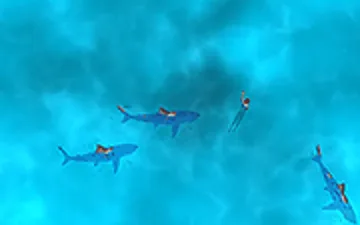 Survive the Sharks
