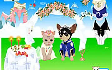 Pet Wedding Dress up
