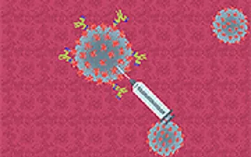 The Coronavirus