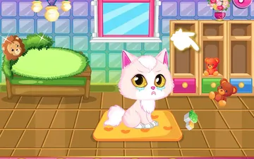 Cat Room Design