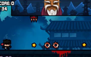 I Am the Ninja 2