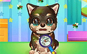 Adopt Your Pet Puppy