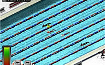 Swimming Race