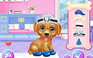 Celebrity Puppies