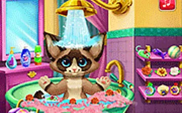 Kitten Bath