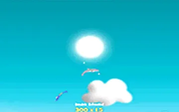 Dolphin Olympics 2