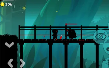Ninja Shadows