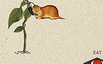 Dispersal Vectors