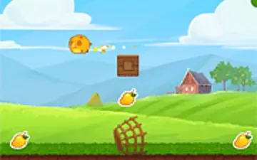Mango Piggy Piggy Farm Harvest