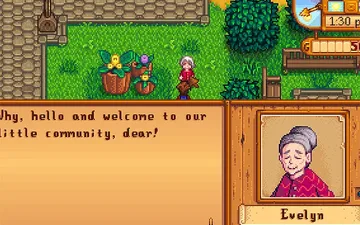 Stardew Valley