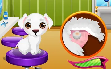 Stray Puppy Care