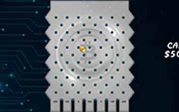 Crypto Plinko