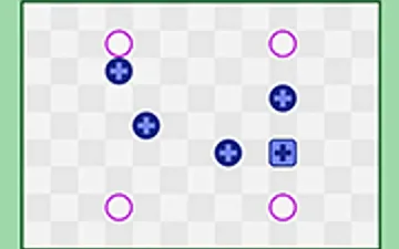 Polarity Switch