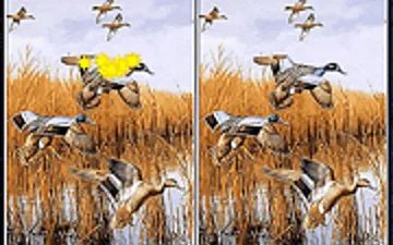 Birds 5 Differences game preview