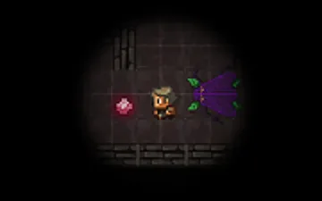 Insect Horror
