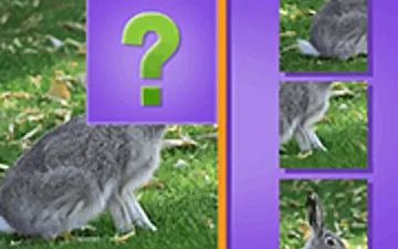 Animal Puzzle Html5