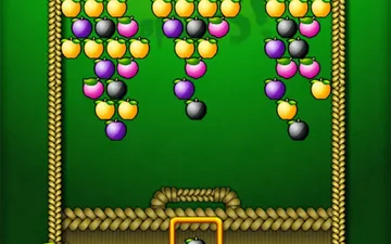 Apples