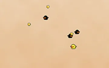 Gliding Bird