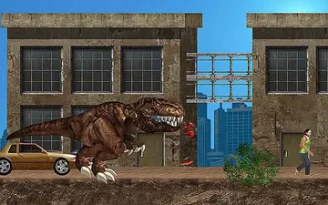 New York Rex