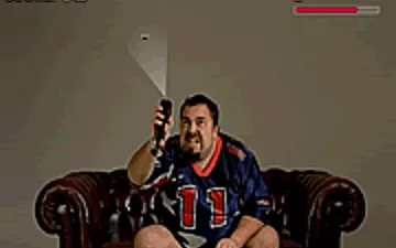 Pedro Fly Catcher