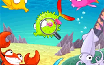 Find Sea Fish