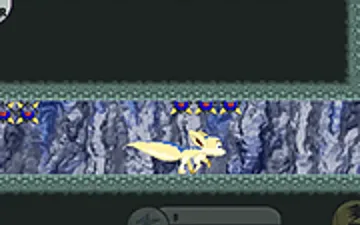 RayiFox