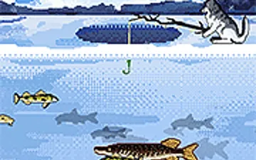 Fabulous Fishing