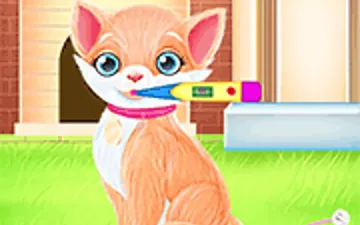 Take Care Princess Kitten