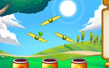 Fruit Collector
