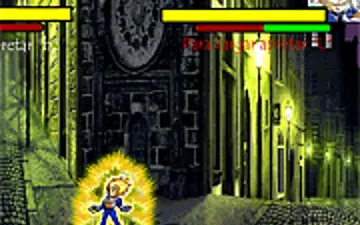 Fight Flash