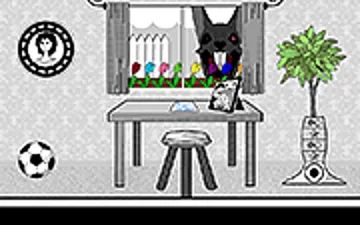 The Black Rabbit