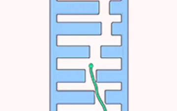 Cute Snake