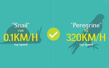 Faster Or Slower