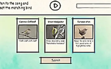 BirdLingo