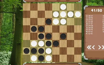 Classic Corners: Forest