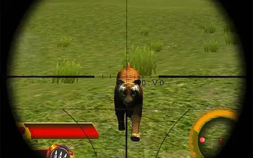 Wildlife Hunters Fury