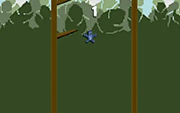 Monkey Climb