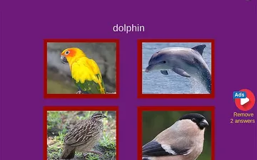 Guess The Pet: World Edition