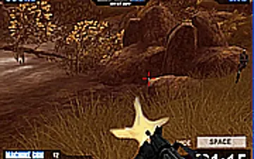 Flash Crisis