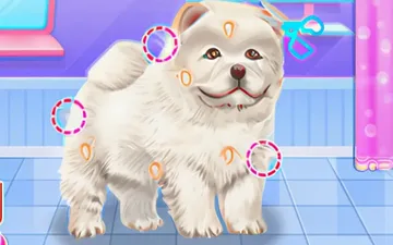Chow Chow Spa Salon game preview
