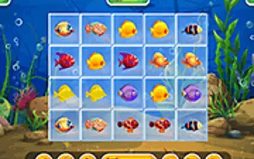 Fishing Puzzles