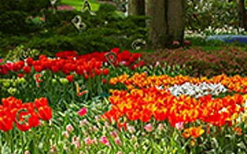 Flower Garden 2